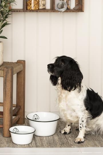 Gamelle pour chien